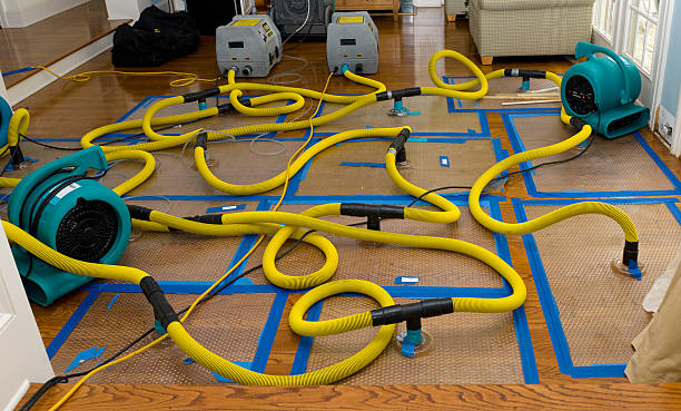 Professional Sewage Cleanup technician working in Mebane, NC